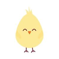 chick on a white background vector