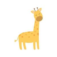 cute giraffe on a white background vector