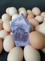 investment in organic egg with nicaraguan money for healthy food photo