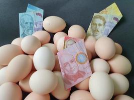 investment in organic egg with Costa Rican money for healthy food photo