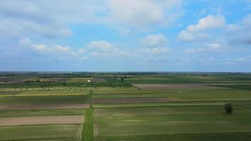 campos verdes con nubes video