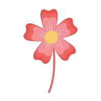 flower with a pink and yellow color on the middle vector