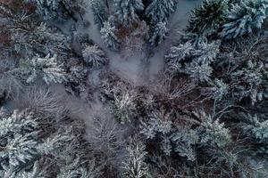 Vista aérea del bosque desde vista aérea, increíble escena de invierno, tema navideño, fondo de invierno. foto