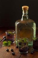 delicioso mezcal surtido de bebidas alcohólicas antecedentes foto