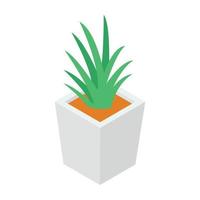 planta de aloe vera vector