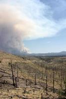 Evidencia de un antiguo incendio forestal en el gila nf con ondulaciones de humo del actual incendio de Johnson en segundo plano. foto