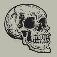 Retro vintage skull in side view angle vector