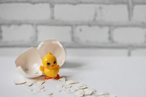 White egg shell of a broken chicken egg photo