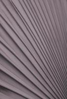 Silver, copper colored palm leaf pattern. Fan palm leaf with muted grey green abstract texture background. Bismarckia nobilis cultivar. Vertical image style. photo