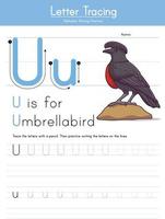 U for Umbrellabird vector