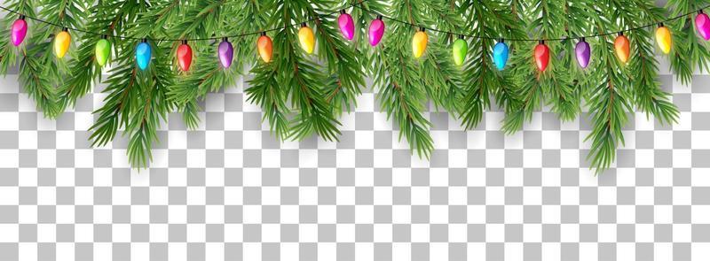 Merry Christmas and happy New Year border of tree branches and garland beads on transparent background. Vector illustration