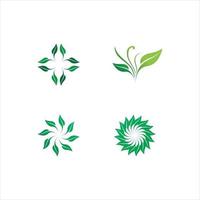 logotipos de hojas y plantas de árboles de la ecología de las hojas verdes vector