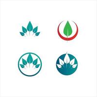 logotipos de hojas y plantas de árboles de la ecología de las hojas verdes vector