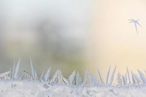 Frost patterns on the glass of the winter window in freezing cold weather photo