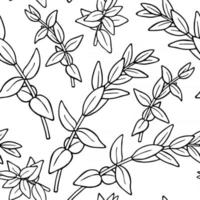 PATTERN WITH EUCALYPTUS BRANCHES vector