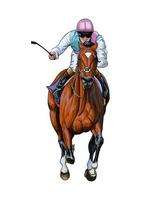 Horse racing with a jockey from splash of watercolors, colored drawing, realistic, Horseback riding. Vector illustration of paints