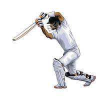 Abstract batsman playing cricket from splash of watercolors, colored drawing, realistic. Vector illustration of paints