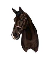 Horse head portrait from splash of watercolors, colored drawing, realistic. Vector illustration of paints
