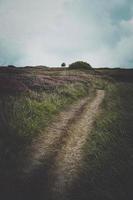 Camino de tierra de la granja, Bilbao, España foto