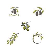 olive icon vector illustration