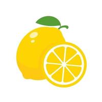 Sour yellow lemons. High vitamin C lemons are cut into slices for summer lemonade. vector