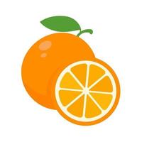 Orange fruit vector. vector