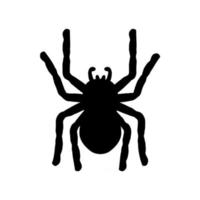 silhouette of a spider hanging from a web Abandoned House Horror Ideas for Halloween vector