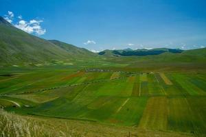 castelluccio di norcia y su naturaleza floreciente foto