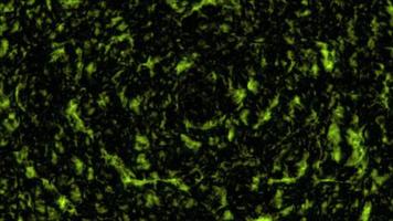 Abstract Mystery Green and Dark Lime Surface Background