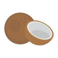 Tropical Coconut Elements vector