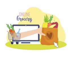 online grocery laptop vector