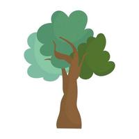 frond tree vegetation vector