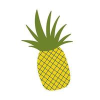 pineapple fresh fruit vector