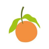 orange fresh fruit vector