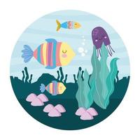 underwater fishes cartoon vector