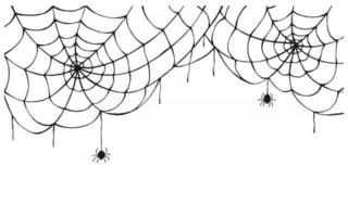 Cobweb background. Scary spider web with spooky spider, isolated on white background. Hand drawn. Halloween decor, net texture tattoo design vector template.