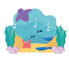 underwater animals scene vector