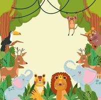 Animals jungle wildlife vector