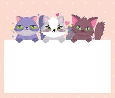 adorable cats pet animals with banner vector