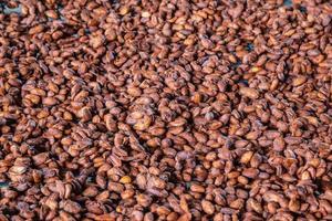 pattern of the cocoa beans background photo