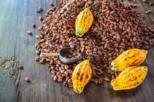 Cocoa pods and cocoa beans On a wooden background