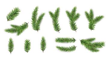 Collection Set of Realistic Fir Branches for Christmas Tree, Pine. Vector Illustration