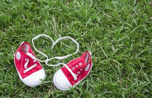 lindos pequeños zapatos de lona rojos en la hierba foto