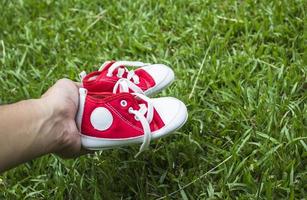 lindos pequeños zapatos de lona rojos en la hierba foto