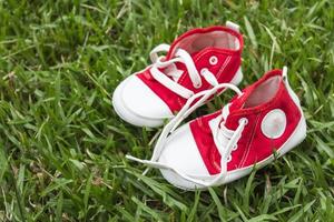 lindos pequeños zapatos de lona rojos en la hierba foto