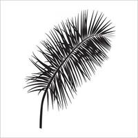 Beautifil Palm Tree Leaf  Silhouette Background Vector Illustration