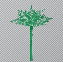 hermosa hoja de palmera en la ilustración de vector de fondo transparente. Eps10