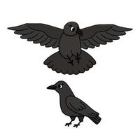 Black or dark gray crows. Cartoon vector flying and standing ravens illustration. Cut out set of two birds