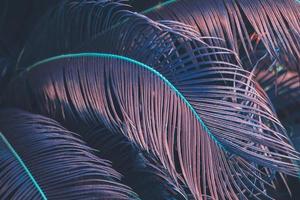 Tropical palm leaves in violet color abstract floral pattern background photo