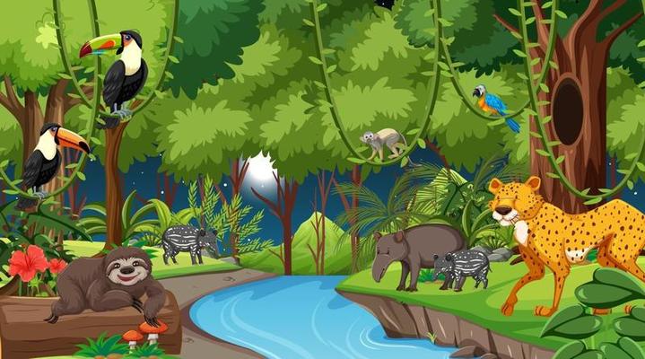 Forest at night landscape scene with different wild animals 2763843 Vector Art at Vecteezy Forest at night landscape scene with different wild animals 2763843 Vector Art at Vecteezy